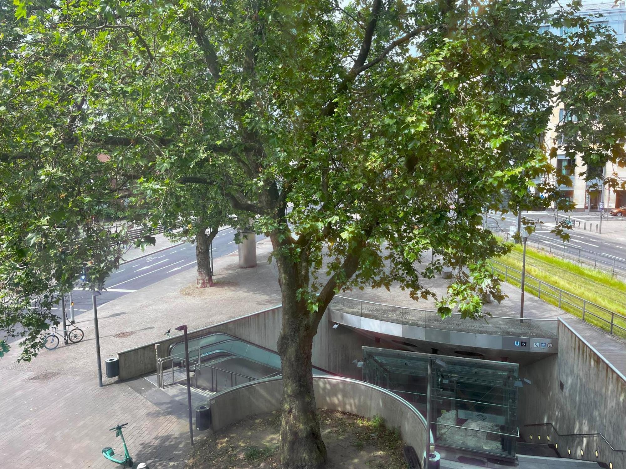 Spacious In Cologne, Near The Cathedral Colónia